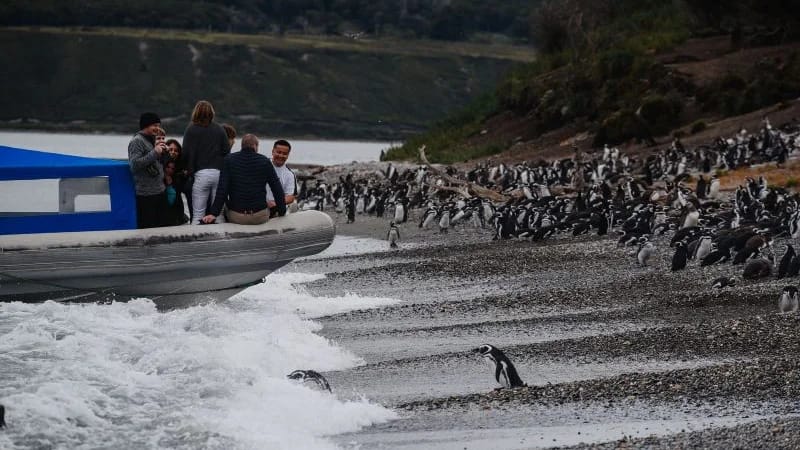 FULL DAY NAVIGATION in Ushuaia – imagen 11