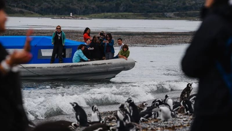 FULL DAY NAVIGATION in Ushuaia – imagen 12
