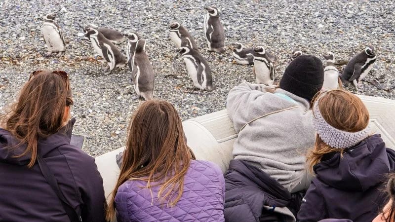 PENGUIN WATCHING in Ushuaia – imagen 3